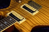 PRS Private Stock Limited Edition Howard Leese Golden Eagle-7.jpg